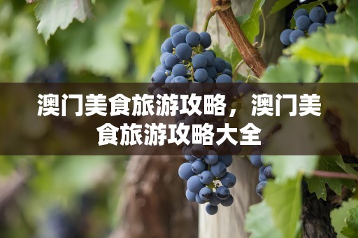 澳门美食旅游攻略，澳门美食旅游攻略大全