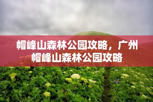 帽峰山森林公园攻略，广州帽峰山森林公园攻略
