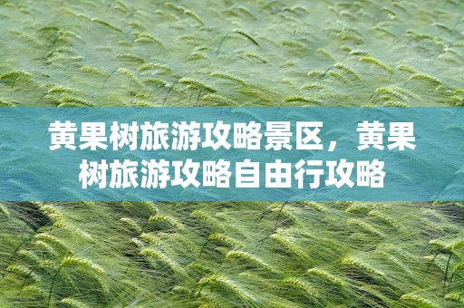 黄果树旅游攻略景区，黄果树旅游攻略自由行攻略