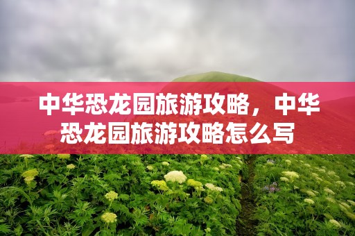 中华恐龙园旅游攻略，中华恐龙园旅游攻略怎么写