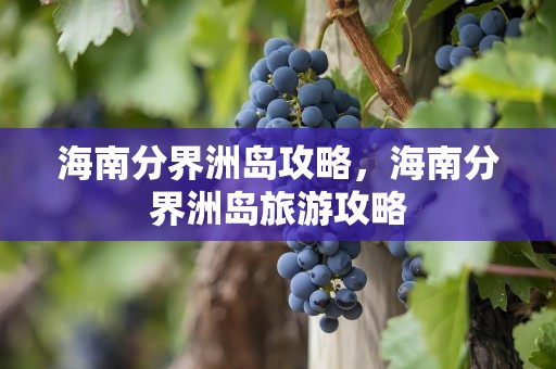 海南分界洲岛攻略，海南分界洲岛旅游攻略