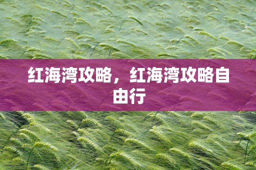红海湾攻略，红海湾攻略自由行