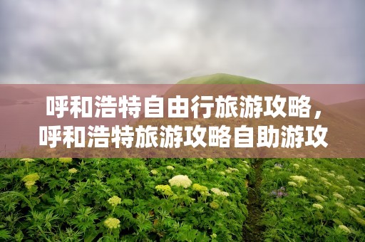 呼和浩特自由行旅游攻略，呼和浩特旅游攻略自助游攻略