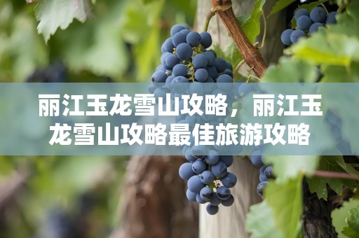 丽江玉龙雪山攻略，丽江玉龙雪山攻略最佳旅游攻略