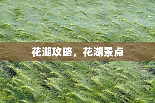 花湖攻略，花湖景点
