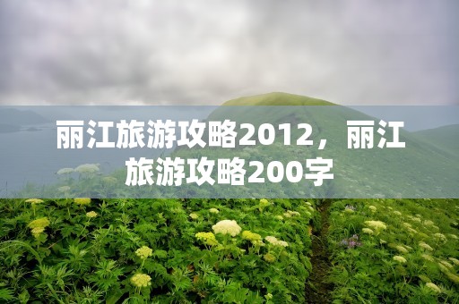 丽江旅游攻略2012，丽江旅游攻略200字