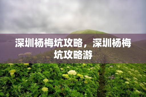 深圳杨梅坑攻略，深圳杨梅坑攻略游