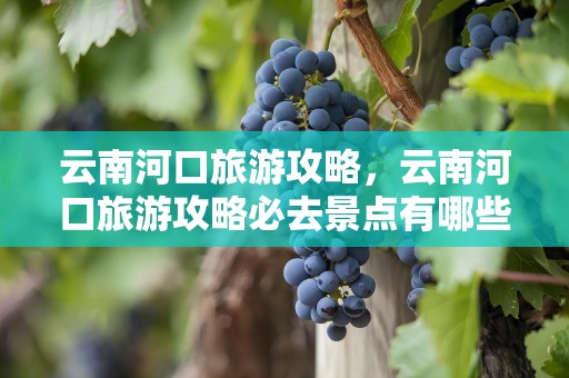 云南河口旅游攻略，云南河口旅游攻略必去景点有哪些