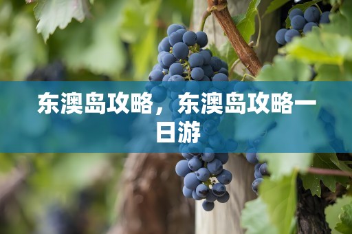 东澳岛攻略，东澳岛攻略一日游