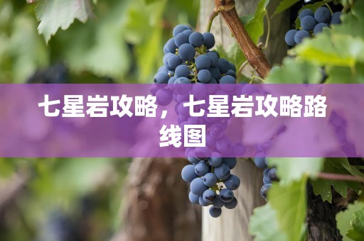 七星岩攻略，七星岩攻略路线图