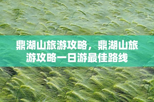 鼎湖山旅游攻略，鼎湖山旅游攻略一日游最佳路线