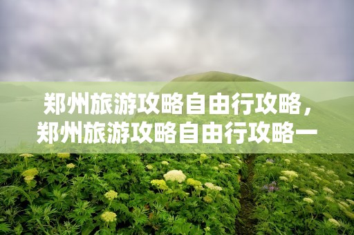 郑州旅游攻略自由行攻略，郑州旅游攻略自由行攻略一日游