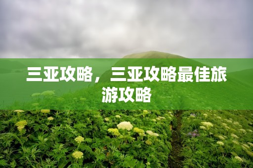 三亚攻略，三亚攻略最佳旅游攻略