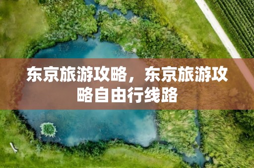 东京旅游攻略，东京旅游攻略自由行线路