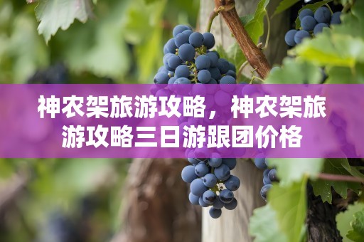神农架旅游攻略，神农架旅游攻略三日游跟团价格