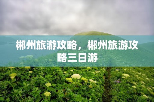 郴州旅游攻略，郴州旅游攻略三日游