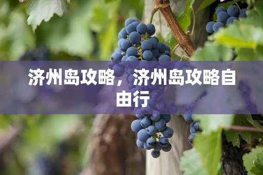 济州岛攻略，济州岛攻略自由行