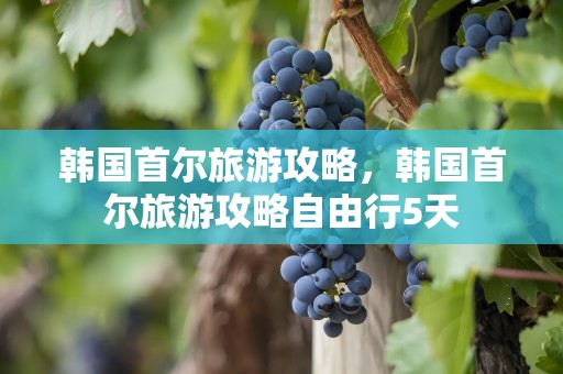 韩国首尔旅游攻略，韩国首尔旅游攻略自由行5天