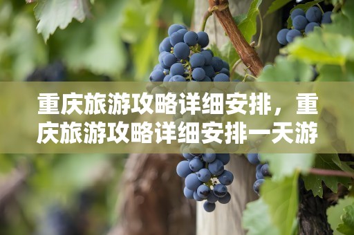重庆旅游攻略详细安排，重庆旅游攻略详细安排一天游玩