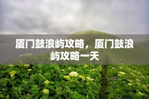 厦门鼓浪屿攻略，厦门鼓浪屿攻略一天