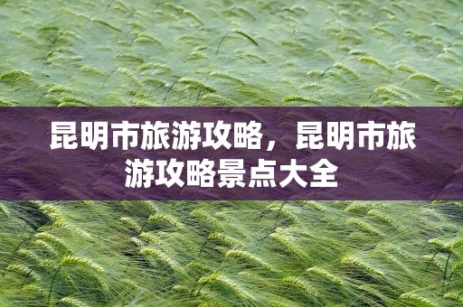 昆明市旅游攻略，昆明市旅游攻略景点大全
