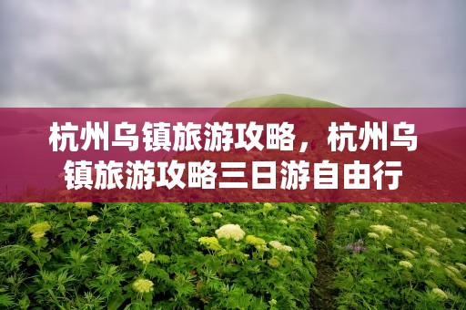 杭州乌镇旅游攻略，杭州乌镇旅游攻略三日游自由行