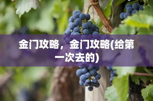 金门攻略，金门攻略(给第一次去的)