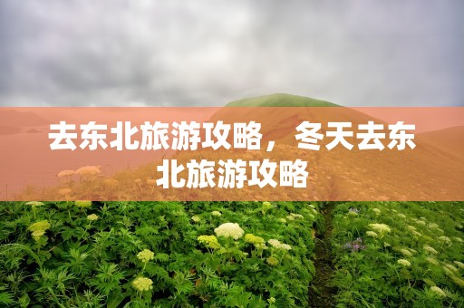去东北旅游攻略，冬天去东北旅游攻略