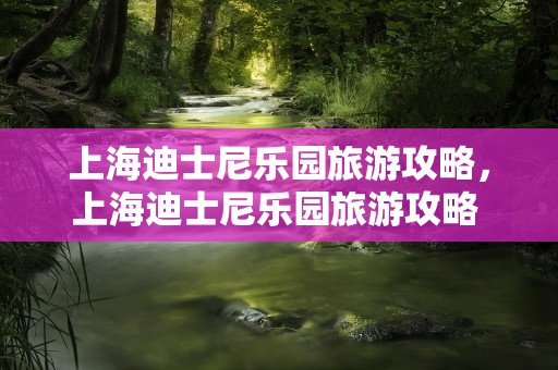 上海迪士尼乐园旅游攻略，上海迪士尼乐园旅游攻略 入园必备