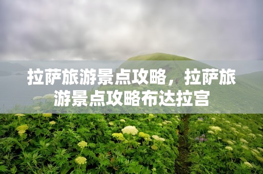 拉萨旅游景点攻略，拉萨旅游景点攻略布达拉宫