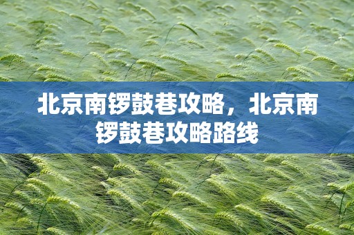 北京南锣鼓巷攻略，北京南锣鼓巷攻略路线