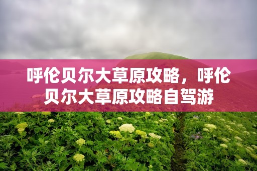 呼伦贝尔大草原攻略，呼伦贝尔大草原攻略自驾游