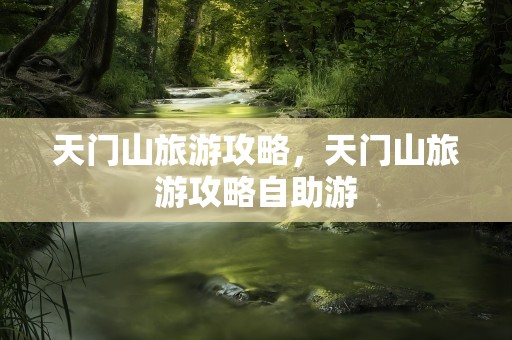 天门山旅游攻略，天门山旅游攻略自助游