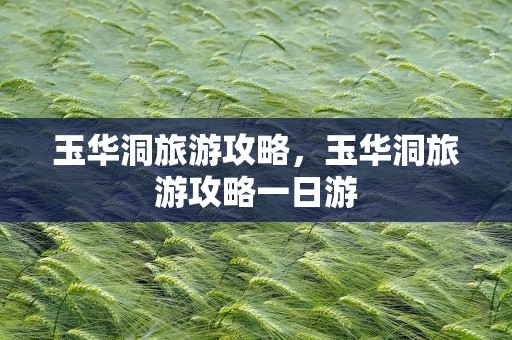 玉华洞旅游攻略，玉华洞旅游攻略一日游