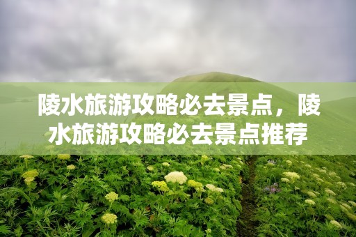 陵水旅游攻略必去景点，陵水旅游攻略必去景点推荐
