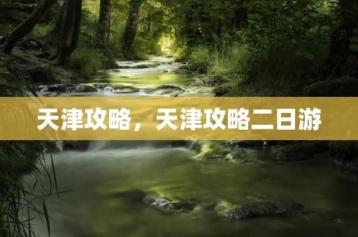 天津攻略，天津攻略二日游