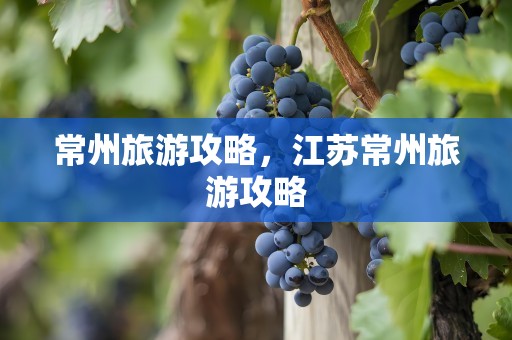 常州旅游攻略，江苏常州旅游攻略