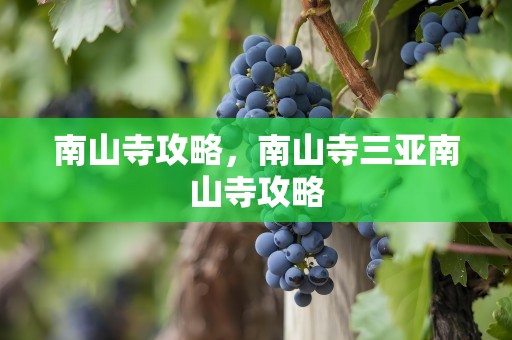 南山寺攻略，南山寺三亚南山寺攻略