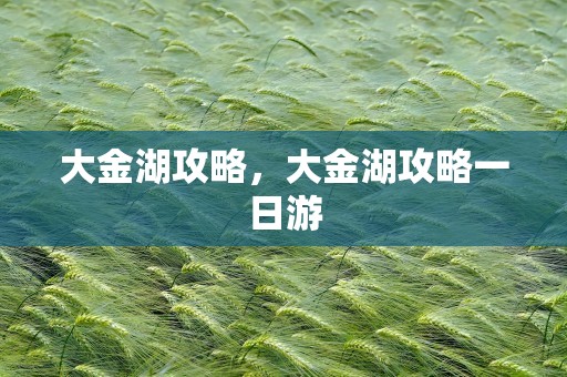大金湖攻略，大金湖攻略一日游