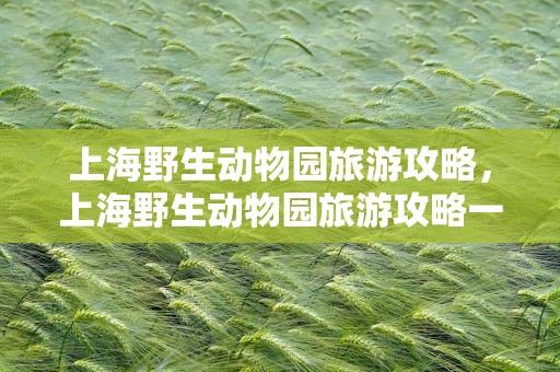 上海野生动物园旅游攻略，上海野生动物园旅游攻略一日游