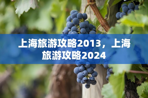 上海旅游攻略2013，上海旅游攻略2024