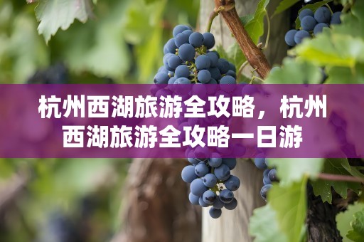 杭州西湖旅游全攻略，杭州西湖旅游全攻略一日游