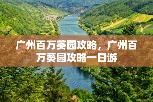 广州百万葵园攻略，广州百万葵园攻略一日游