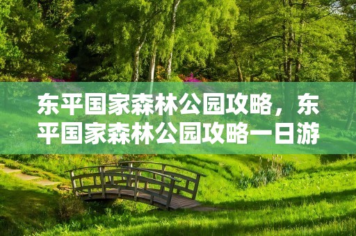 东平国家森林公园攻略，东平国家森林公园攻略一日游