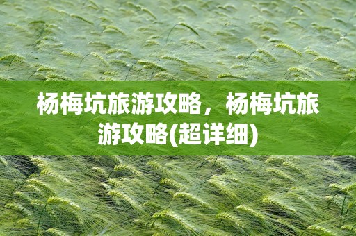 杨梅坑旅游攻略，杨梅坑旅游攻略(超详细)