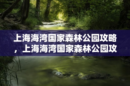 上海海湾国家森林公园攻略，上海海湾国家森林公园攻略一日游