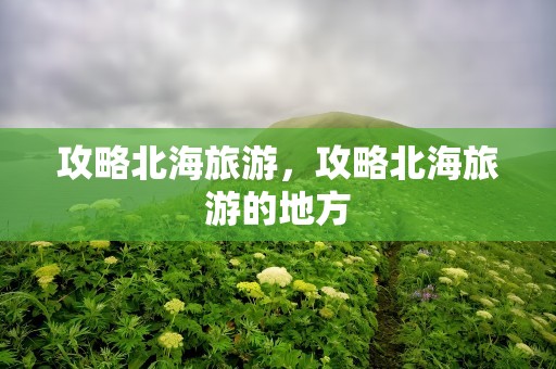 攻略北海旅游，攻略北海旅游的地方