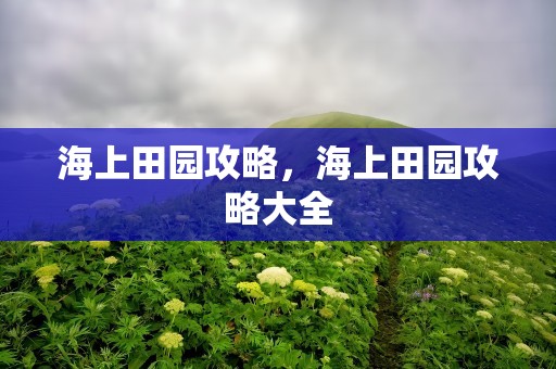 海上田园攻略，海上田园攻略大全