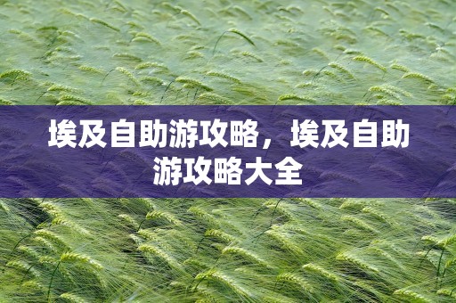 埃及自助游攻略，埃及自助游攻略大全