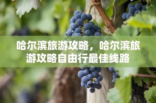 哈尔滨旅游攻略，哈尔滨旅游攻略自由行最佳线路